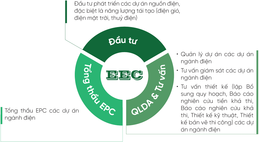 Lĩnh vực hoạt động
