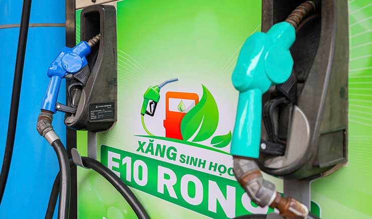 Sớm triển khai lộ trình sản xuất và sử dụng nhiên liệu sinh học